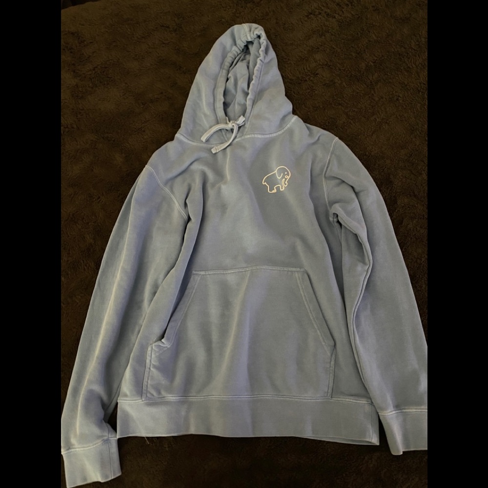 Ivory Ella light blue Hoodie worn once